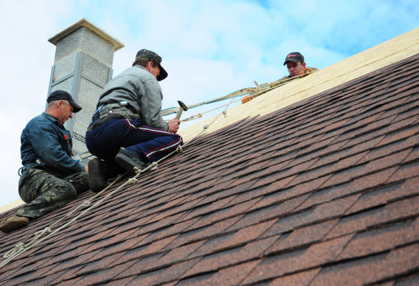 Best Gutter Installation and Roofing  in Mcconnelsville, OH